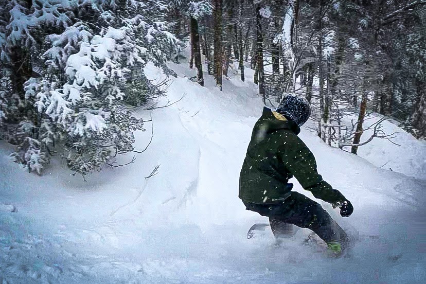 A snowboarder going through the glades on a powder day