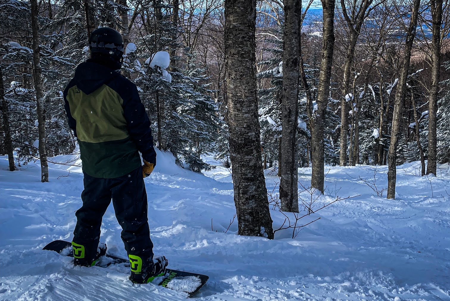 A snowboarder looking down a powdery tree run