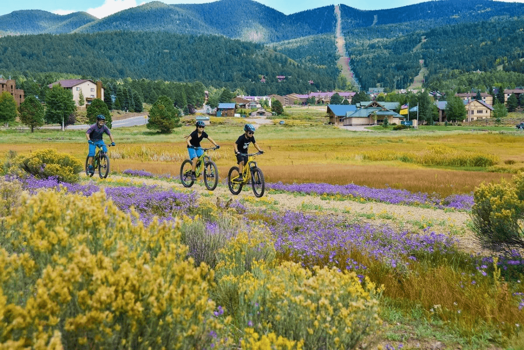 Summer in the Mountains