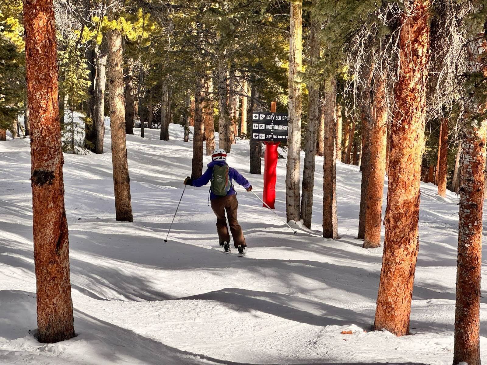 A skier in the glades at Ski Cooper Colorado