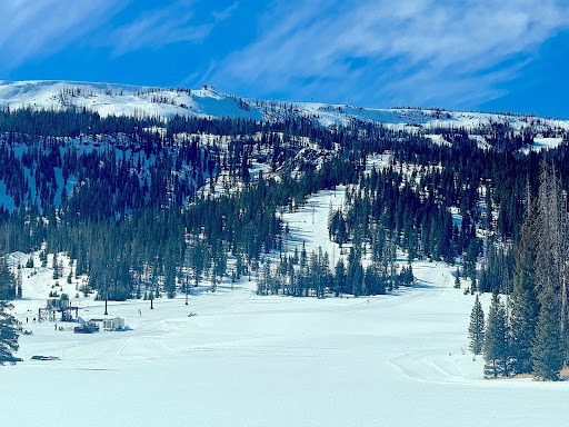 View of Wolf Creek from the base of the Alberta and Elma lifts