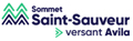 versant Avila Logo