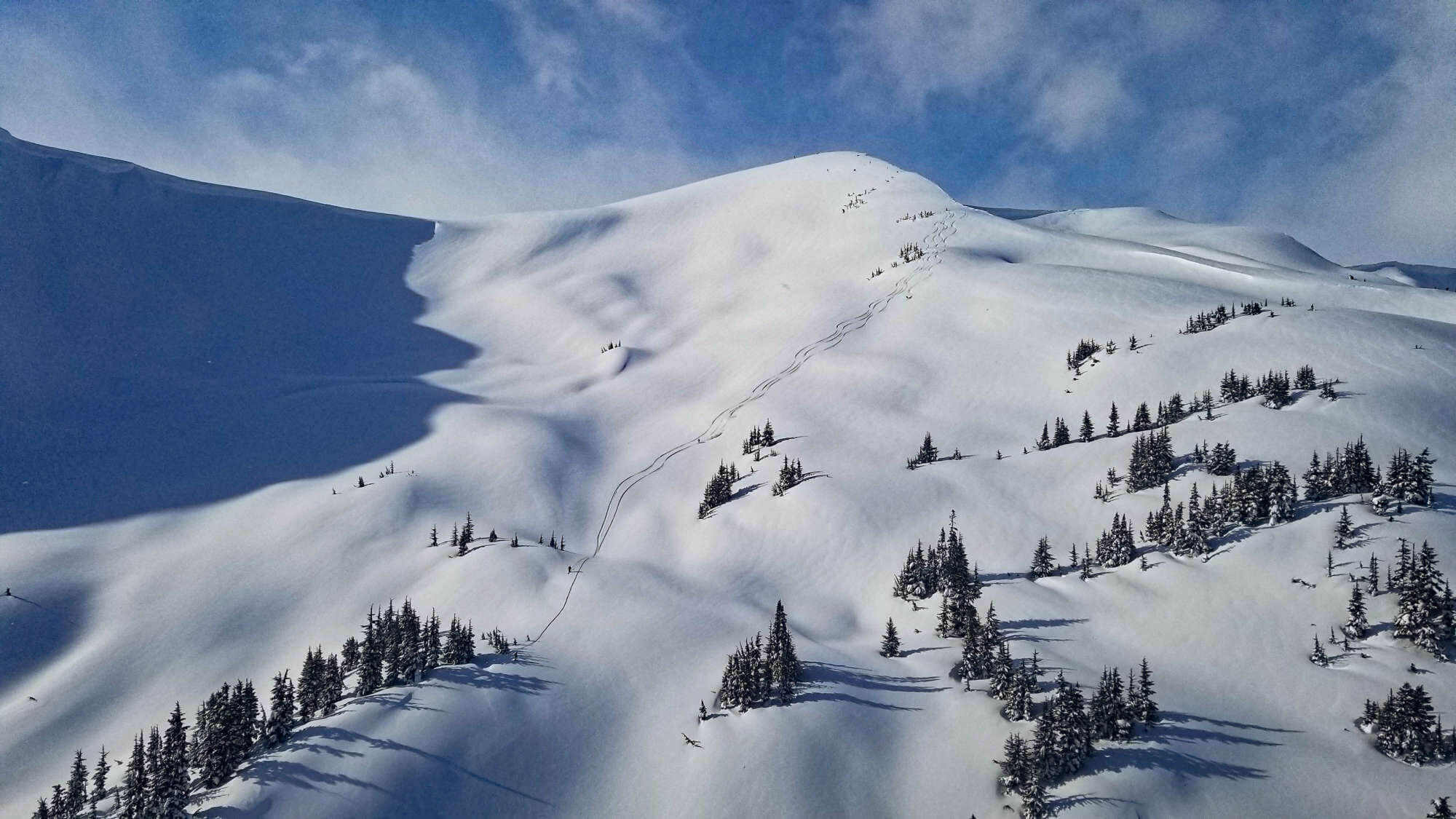 Last Frontier Heliskiing - Ripley Creek Trail Map
